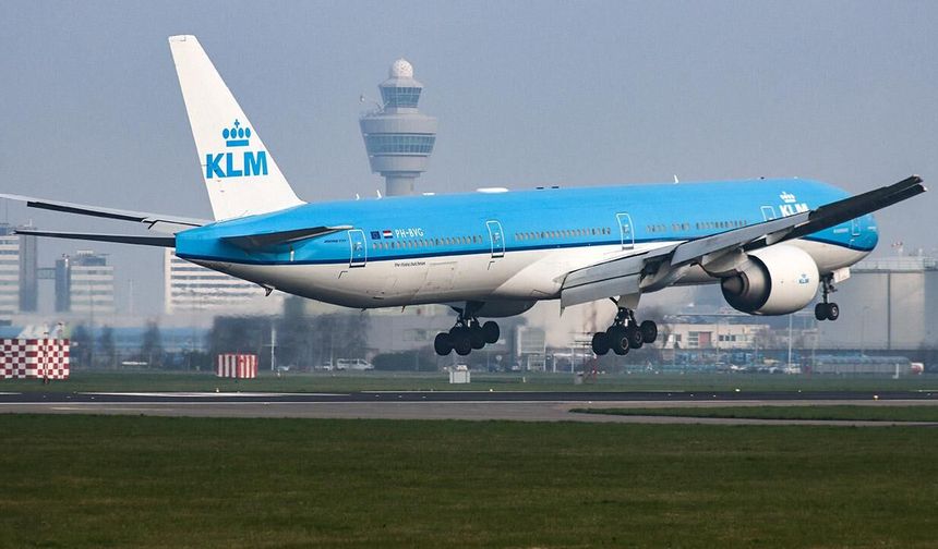 Hollanda’da hantavirüs alarmı: Ölen yolcuyla temas eden hostes hastaneye kaldırıldı