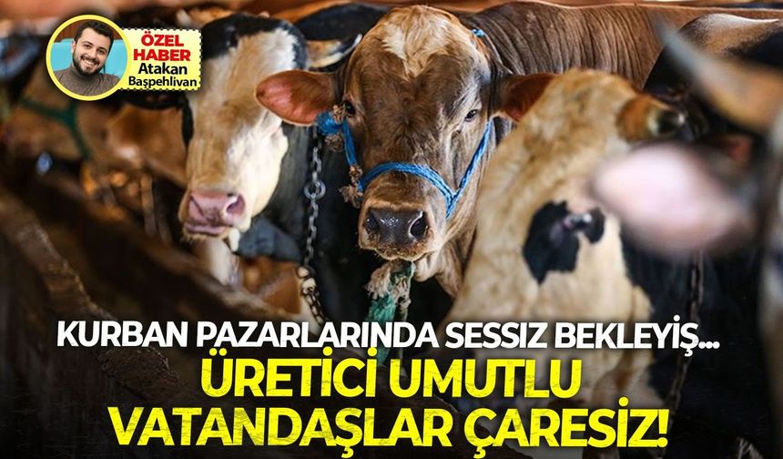 Kurban pazarlarında sessiz bekleyiş: Üretici umutlu, vatandaş çaresiz!