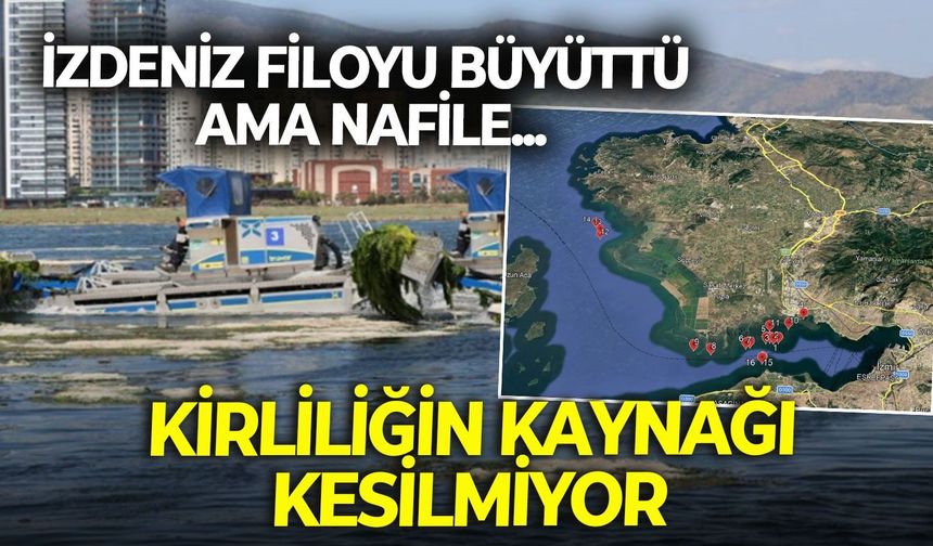 İZDENİZ mayıs ayında 300 ton deniz marulu topladı ama kirliliğin kaynağı kesilmiyor