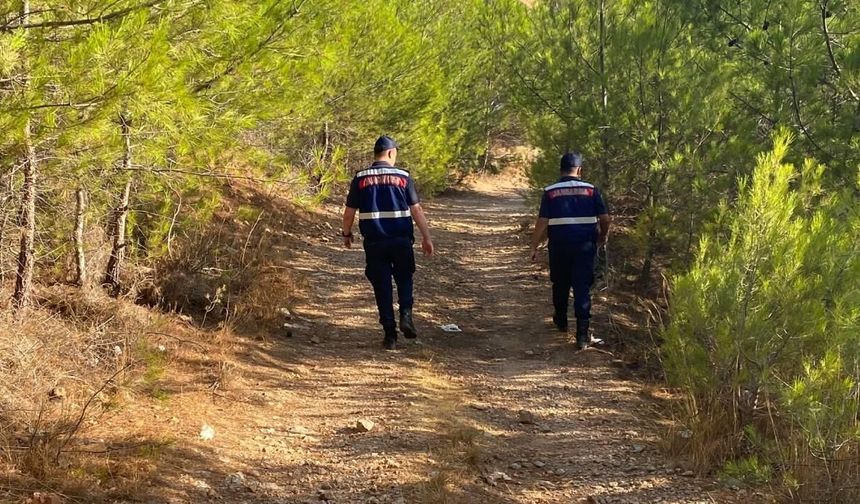 Manisa’da traktör kazası can aldı: Bağda çalışan sürücü yaşamını yitirdi