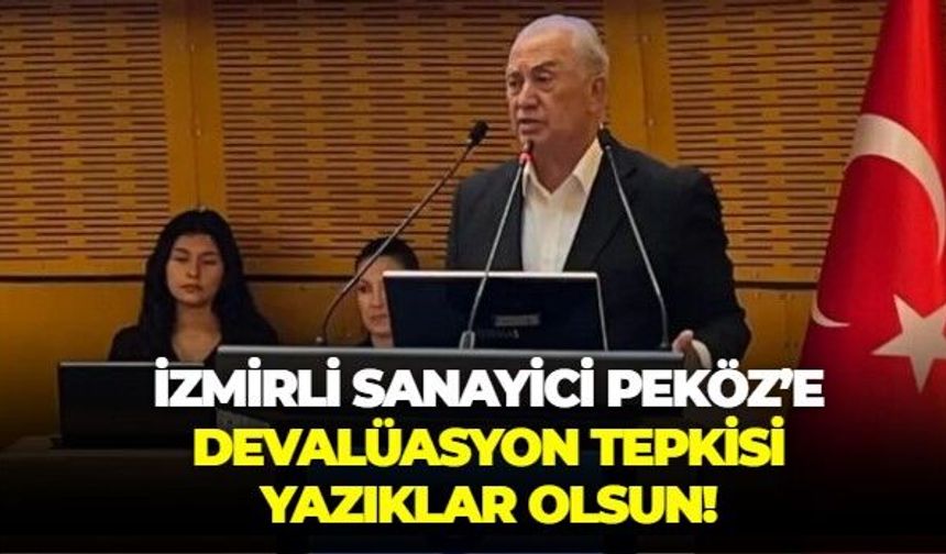 Sanayici Remzi Peköz'ün ''Devalüasyon şart'' çağrısına ekonomist İris Cibre'den tepki var: Yazıklar olsun!