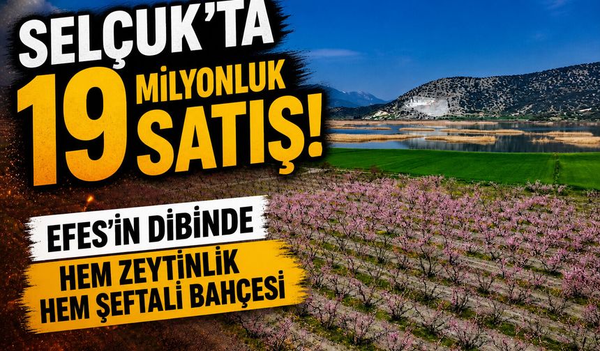 Selçuk’ta 19 milyonluk satış! Efes’in dibinde hem zeytinlik hem şeftali bahçesi