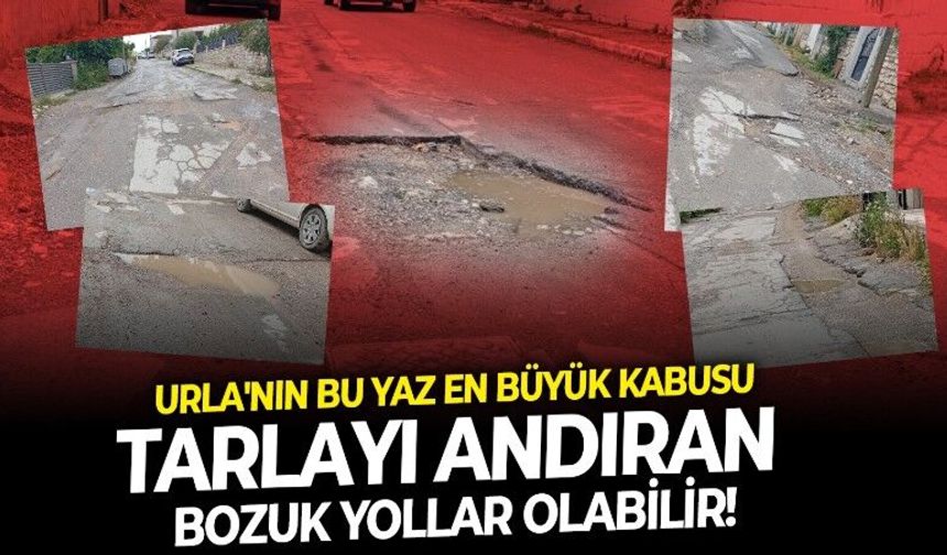 Urla'nın bozuk yol çilesi bitmiyor! Tarlaya dönmüş delik deşik yollar bu yaz sürücülerin kabusu olmaya aday
