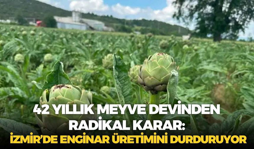 42 yıllık meyve devinden radikal karar: İzmir’de enginar üretimini durduruyor