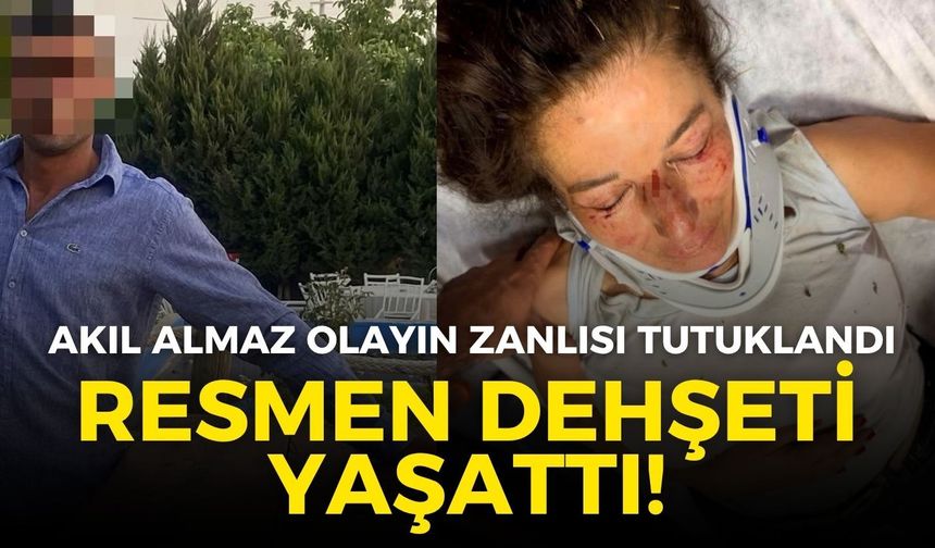 Selçuk'ta hayvansevere dehşeti yaşattı! O zanlı tutuklandı