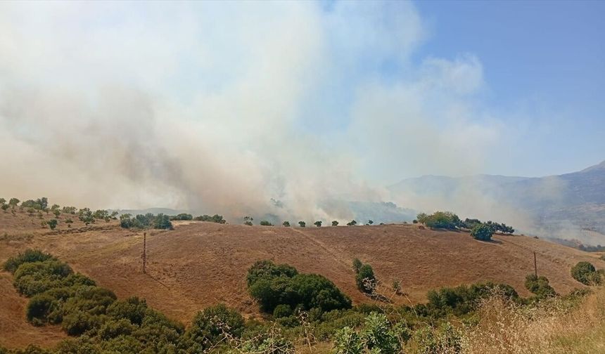 Kiraz'da tarım arazisinde yangın paniği! Ekiplerin hızlı müdahalesi alevleri durdurdu