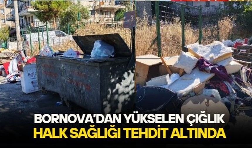 38 yıllık belediyeciden Bornova Belediyesi'ne çöp isyanı: Bu sokağı böyle görmek içimi acıtıyor