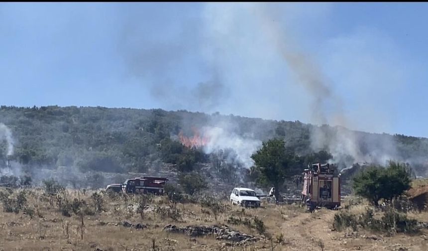 Arıcının tütsüsü ormanı alevlendirdi! Yangın büyümeden söndürüldü