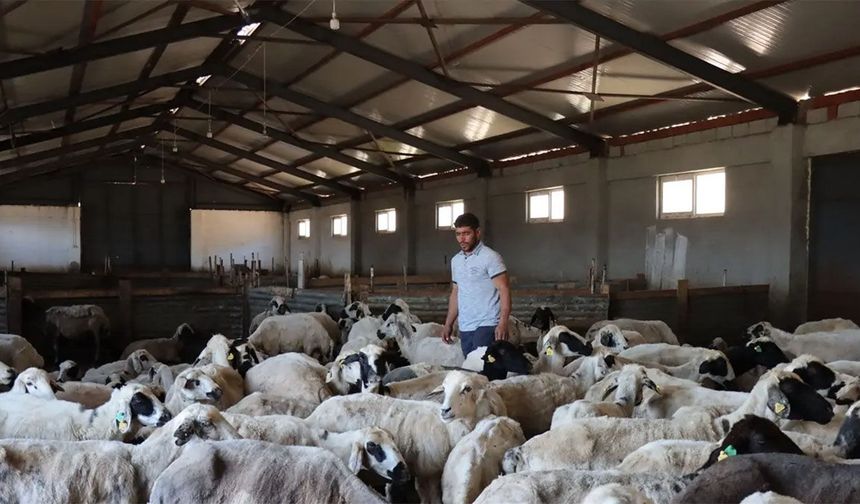 Devletten 3 milyon 650 bin lira hibe aldı, yılda 7 ton coğrafi işaretli lezzet üretiyor