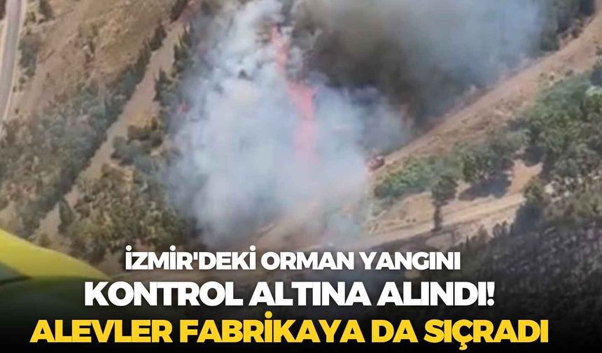 İzmir'deki orman yangını kontrol altına alındı! Alevler fabrikaya da sıçradı