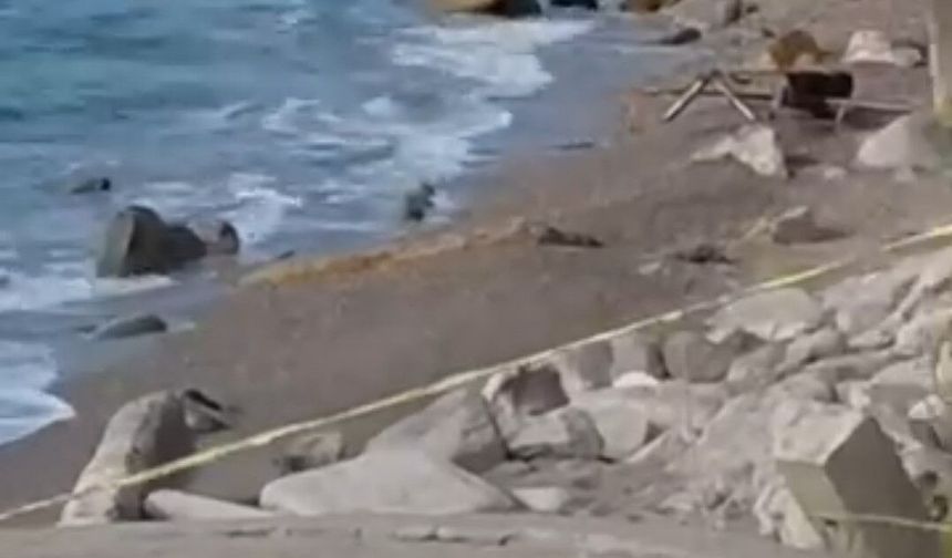 Karadeniz kıyısında İHA alarmı! Menşei teknik incelemeyle belirlenecek