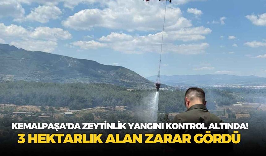 İzmir Kemalpaşa'da zeytinlik yangını kontrol altına alındı! 3 hektarlık alan zarar gördü