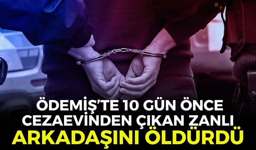 Ödemiş'te kanlı kavga! 10 gün önce cezaevinden çıkan zanlı arkadaşını öldürdü