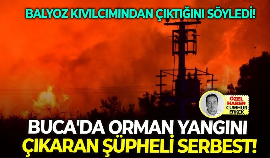 Balyoz kıvılcımından çıktığını söyledi: Buca'da orman yangını çıkaran şüpheli serbest!