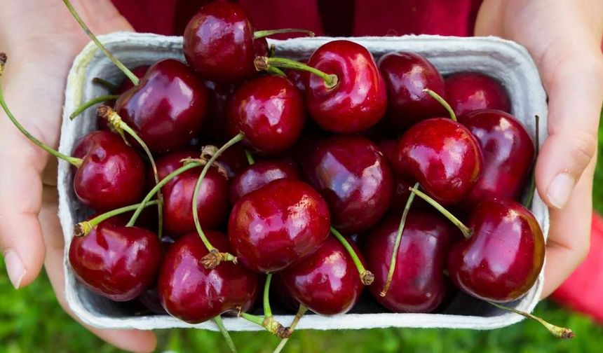 Raf ömrünü ikiye katlamak için kirazı dolaba koyarken bunu yapmayın