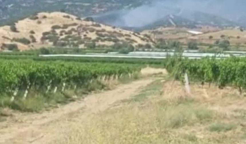 Manisa'da orman yangını! Ekipler karadan ve havadan müdahale ediyor!