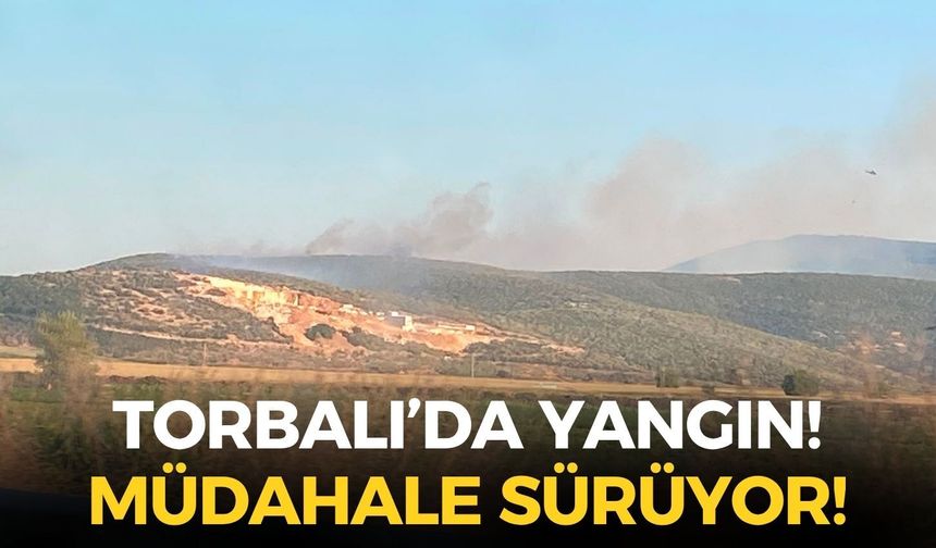 SON DAKİKA İzmir Torbalı'da yangın: Havadan ve karadan müdahale sürüyor!