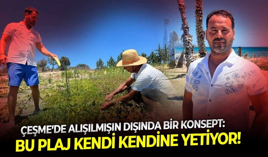Çeşme’de alışılmışın dışında bir konsept: Bu plaj kendi kendine yetiyor!