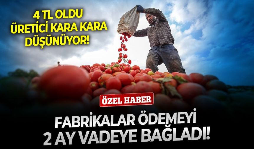 4 TL oldu, üretici kara kara düşünüyor!  Fabrikalar ödemeyi 2 ay vadeye bağladı!