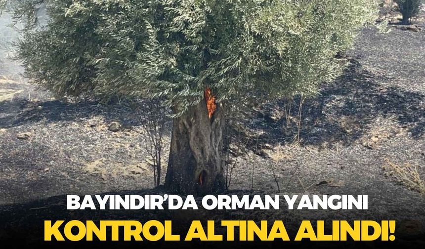 Bayındır’da orman yangını kontrol altına alındı! Alevlerin çıkış nedeni araştırılıyor