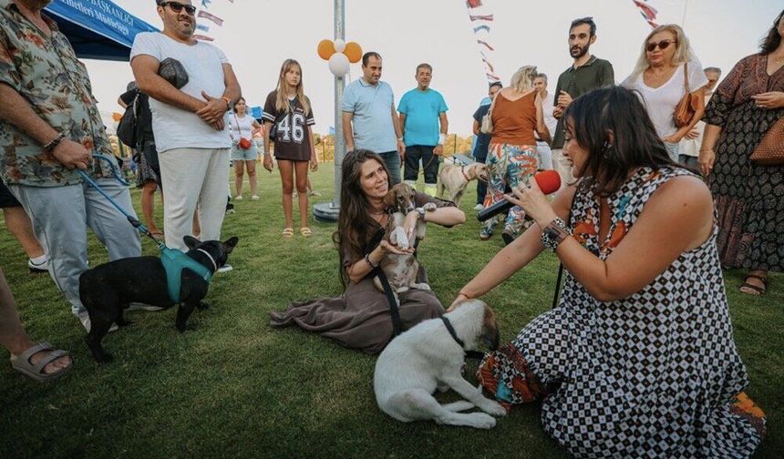 Çeşme’de yeni park hizmete açıldı! Can dostlar sıcak yuvasına kavuştu