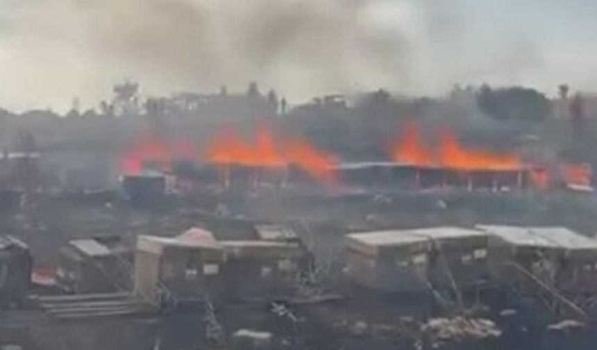Denizli'de korkutan yangın: Çok sayıda arı kovanı küle döndü!
