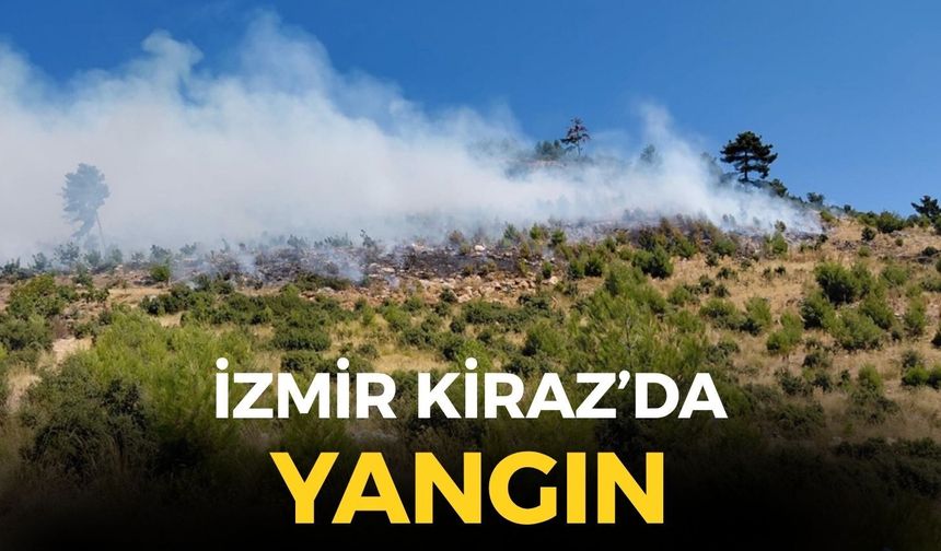SON DAKİKA İzmir Kiraz'da orman yangını!