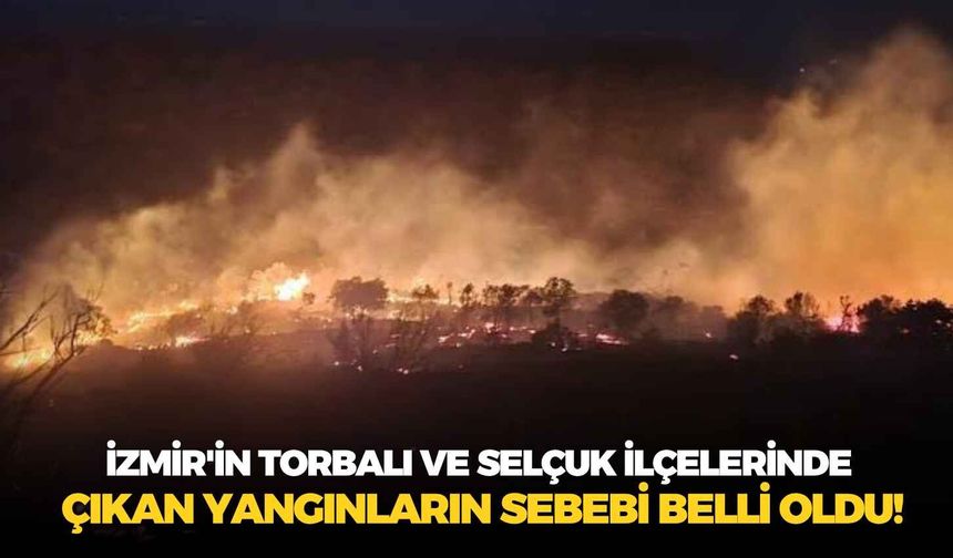 İzmir'in Torbalı ve Selçuk ilçelerinde çıkan yangınların sebebi belli oldu!