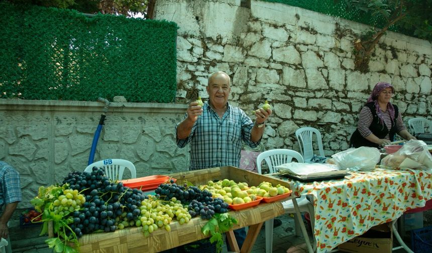 İzmir'de Güzelbahçe'nin altın sarısı inciri görücüye çıktı: 12. Festivalden renkli görüntüler...