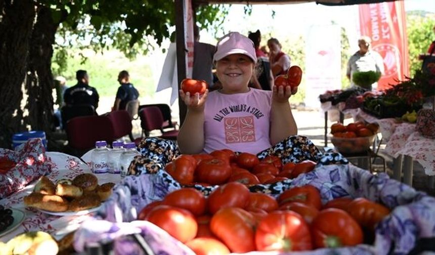 Karşıyaka'da Yamanlar Domatesi mesaisi başladı!