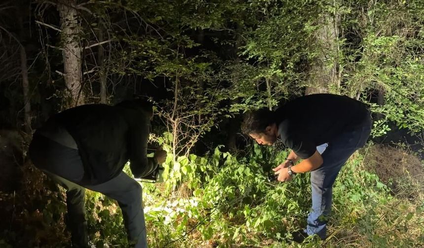 Ormanlık alanda silahlı saldırı: 24 yaşındaki genç yaralandı!