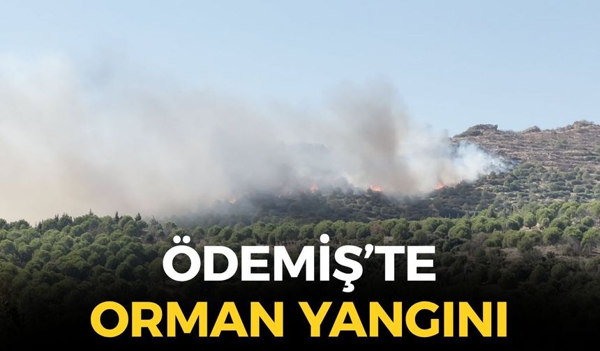 SON DAKİKA Ödemiş'te orman yangını: Havadan ve karadan müdahale başlatıldı!