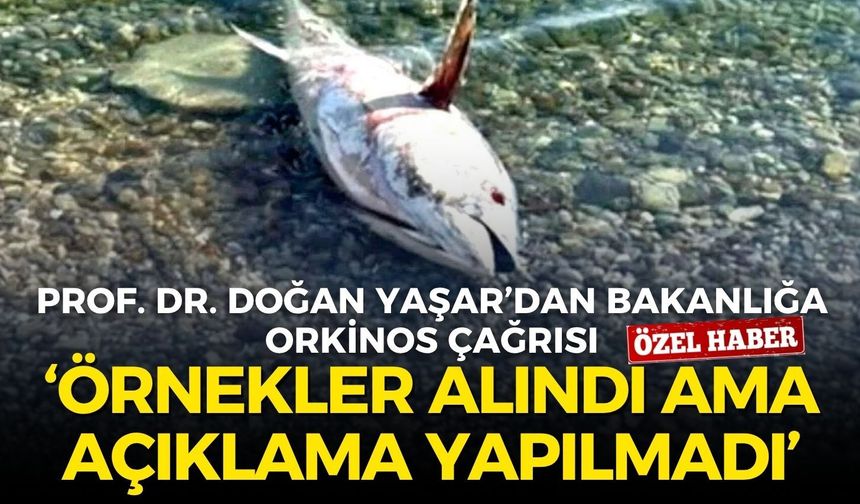 Prof. Dr. Doğan Yaşar’dan bakanlığa orkinos çağrısı: Örnekler alındı ama açıklama yapılmadı!