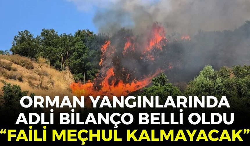 Orman yangınlarında adli bilanço belli oldu! Bakan Gürlek: "Faili meçhul kalmayacak"