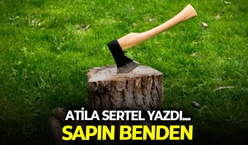 SAPIN BENDEN