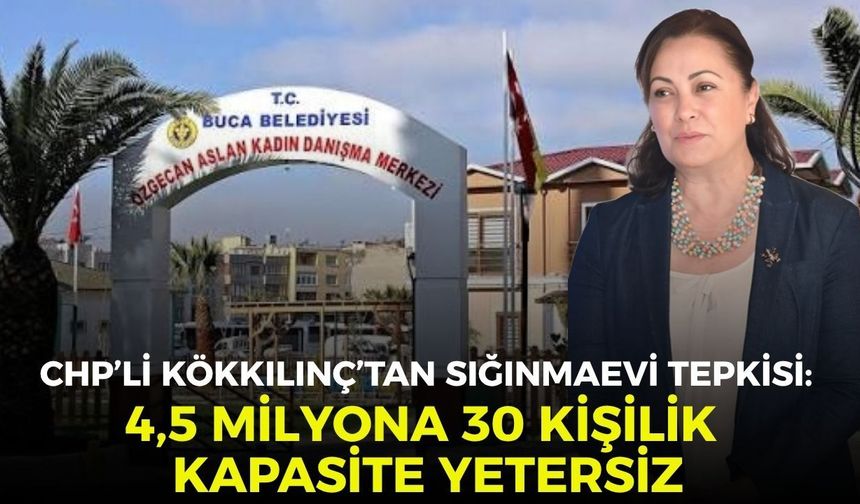 CHP’li Kökkılınç’tan sığınmaevi tepkisi: 4,5 milyona 30 kişi kapasitesi yetersiz