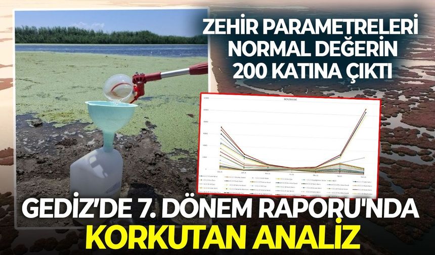 Gediz’de 7. Dönem Raporu'nda korkutan analiz: Zehir parametreleri normal değerin 200 katına çıktı