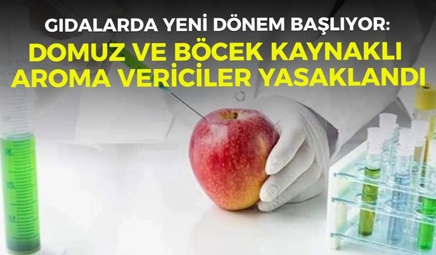 Gıdalar yeni dönem başlıyor: Domuz ve böcek kaynaklı aroma vericiler yasaklandı