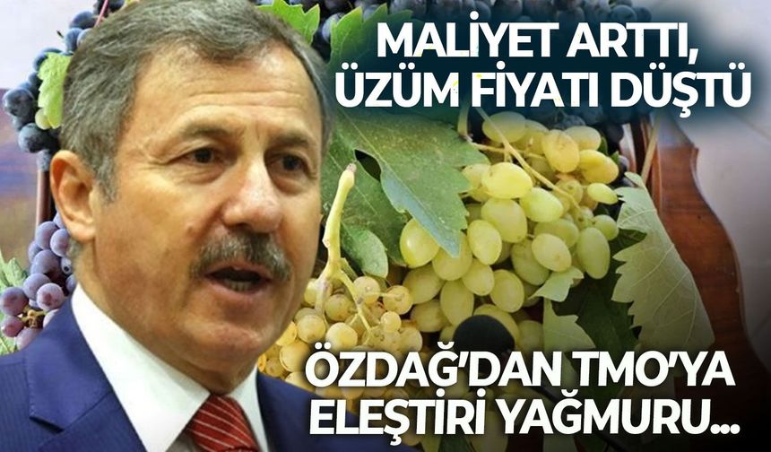 Maliyet arttı, üzüm fiyatı düştü: Özdağ’dan, TMO’ya eleştiri yağmuru...