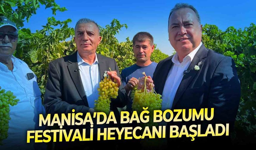 Manisa’da bağ bozumu festivali heyecanı başladı