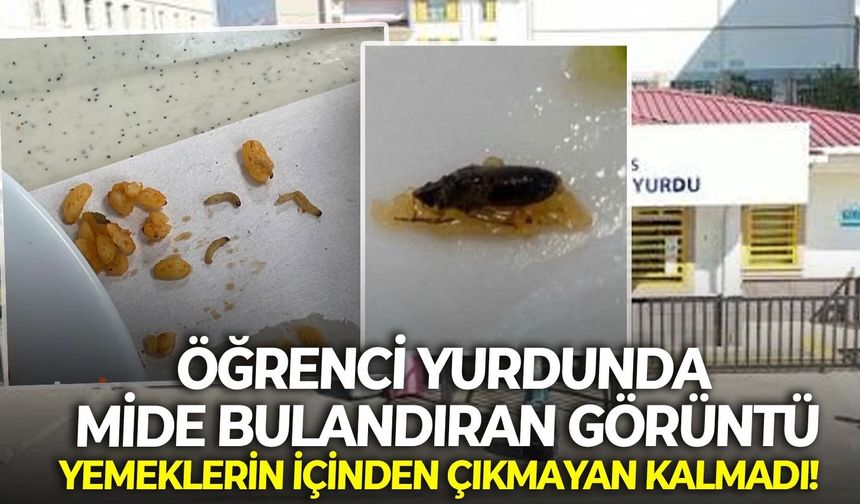 Öğrenci yurdunda mide bulandıran görüntü: Yemeklerin içinden çıkmayan kalmadı!