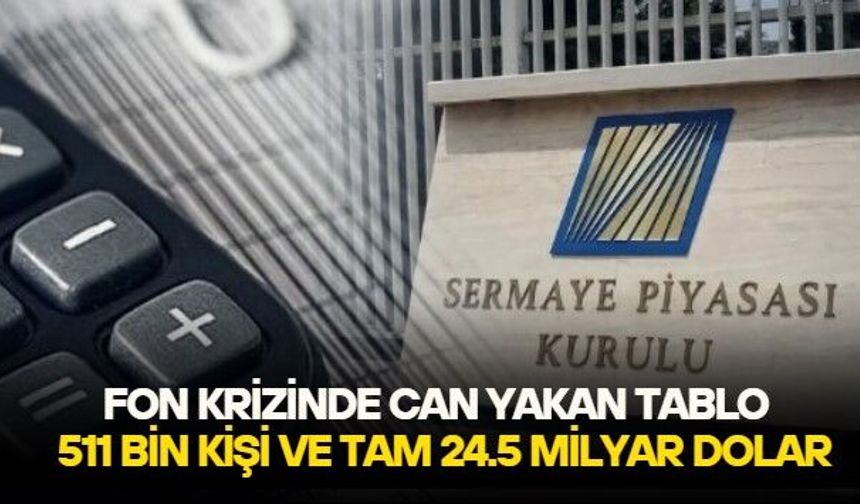 'Para batırma sanatı' kitabı yazarı Haydar Acun'dan dikkat çeken çağrı: Ponzi sisteminde rolü bulunan herkes mal varlığıyla bedel ödemeli