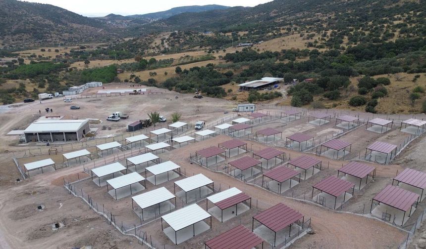 2 bin 500 hayvanı ağırlayacak! İzmir’de dev kampüsün yapımı sürüyor