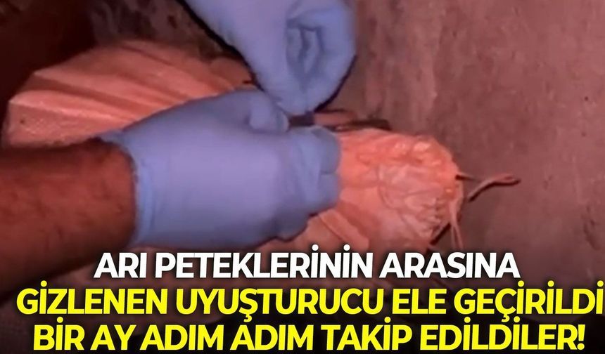 Arı peteklerinin arasına gizlenen uyarıcı madde ele geçirildi: Bir ay adım adım takip edildiler!