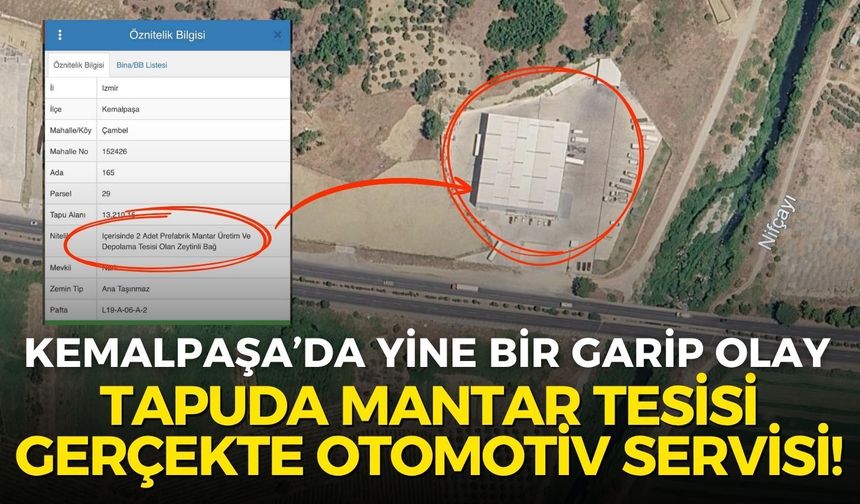 Kemalpaşa’da tapuda mantar tesisi, gerçekte otomotiv servisi!