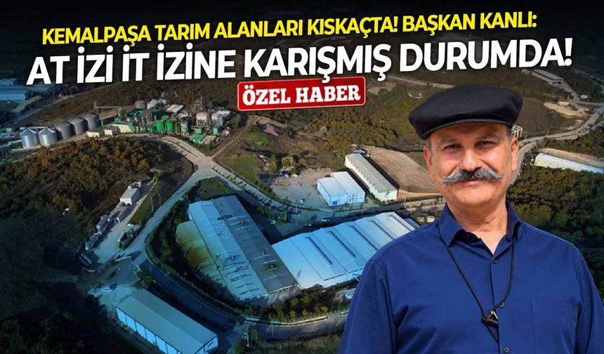 Kemalpaşa tarım alanları kıskaçta! Başkan Kanlı: At izi it izine karışmış durumda