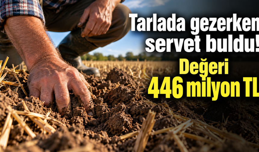Tarlada gezerken servet buldu! Değeri 446 milyon TL