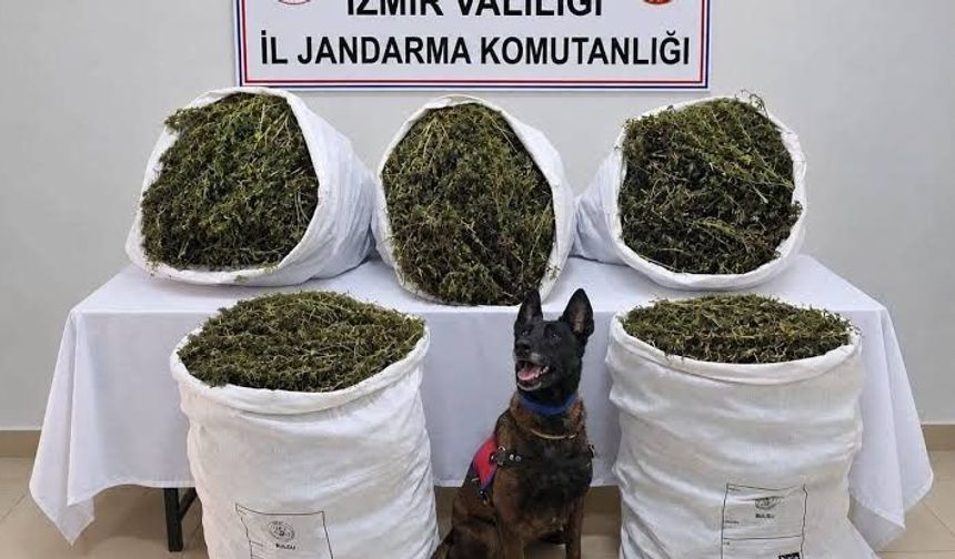 Tire’de 54 kilo 800 gram uyuşturucu ele geçirildi
