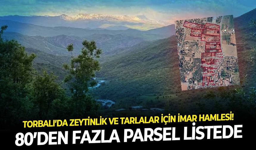 Torbalı’da zeytinlik ve tarlalar için imar hamlesi! 80’den fazla parsel listede