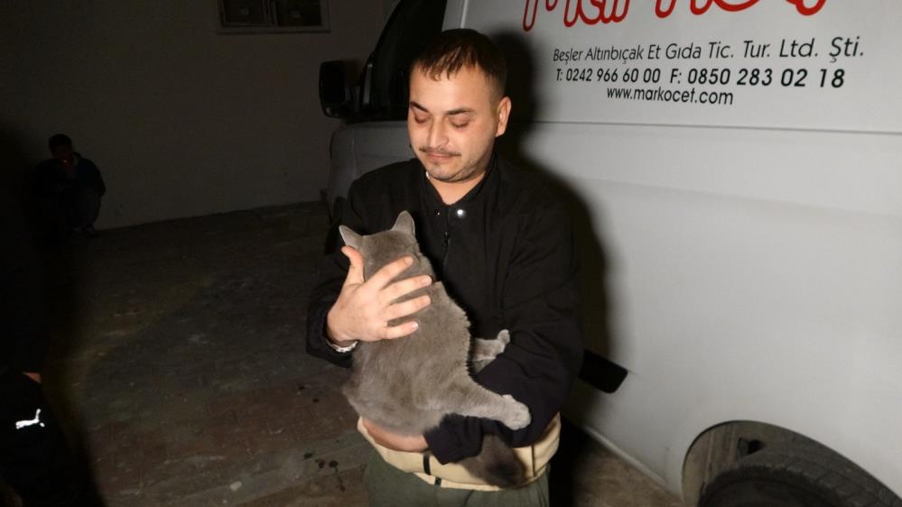 kedisini bir an bile kucağından bırakmadı